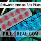 Black Ant Sex Pills new14